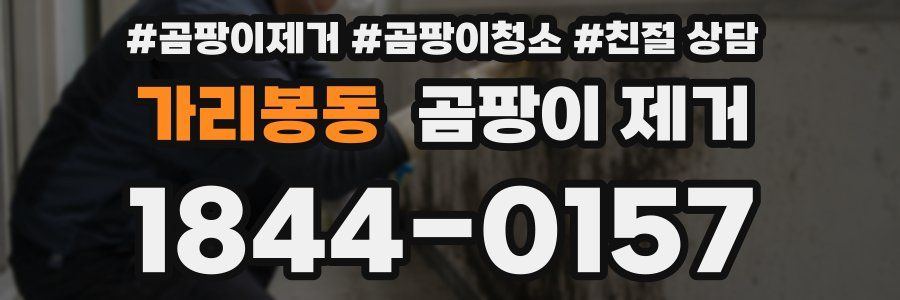 가리봉동 곰팡이 제거