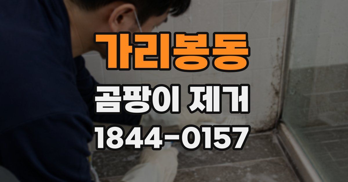 가리봉동 곰팡이 제거