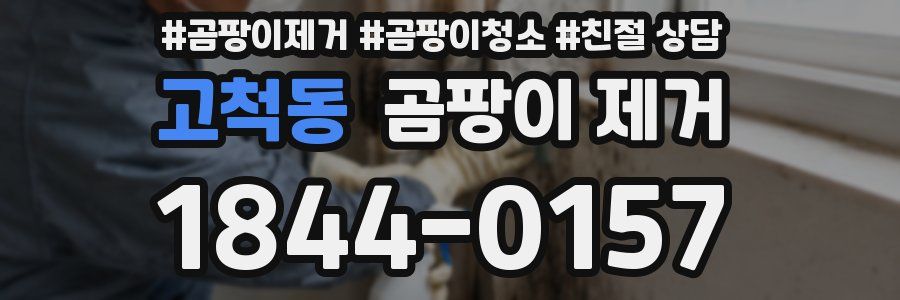 고척동 곰팡이 제거