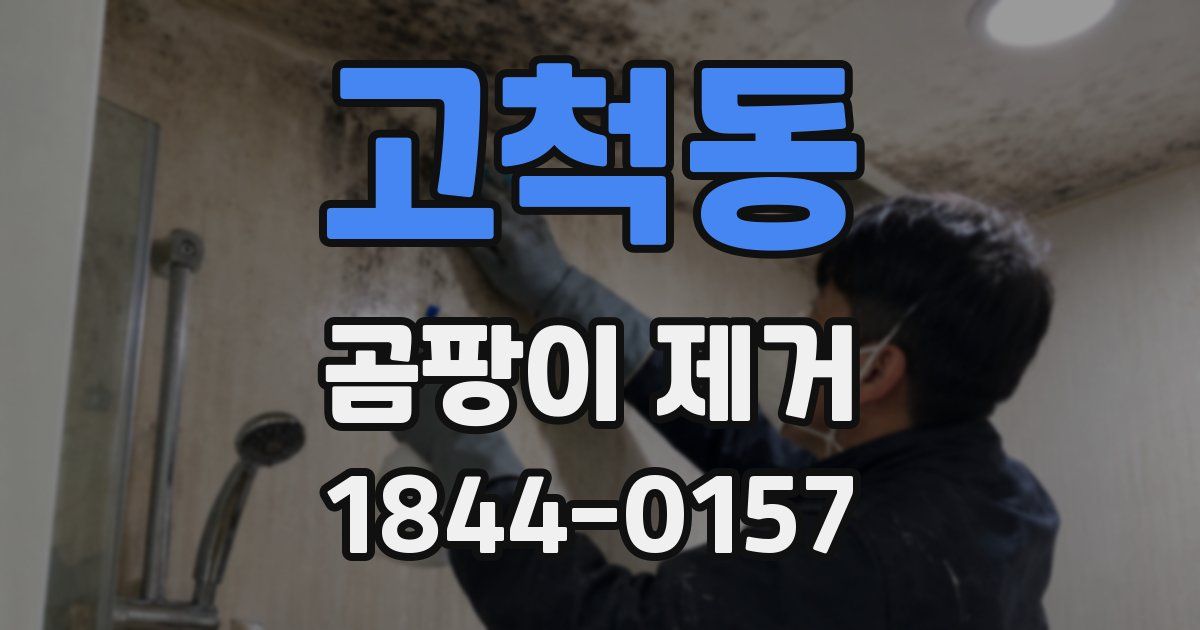 고척동 곰팡이 제거