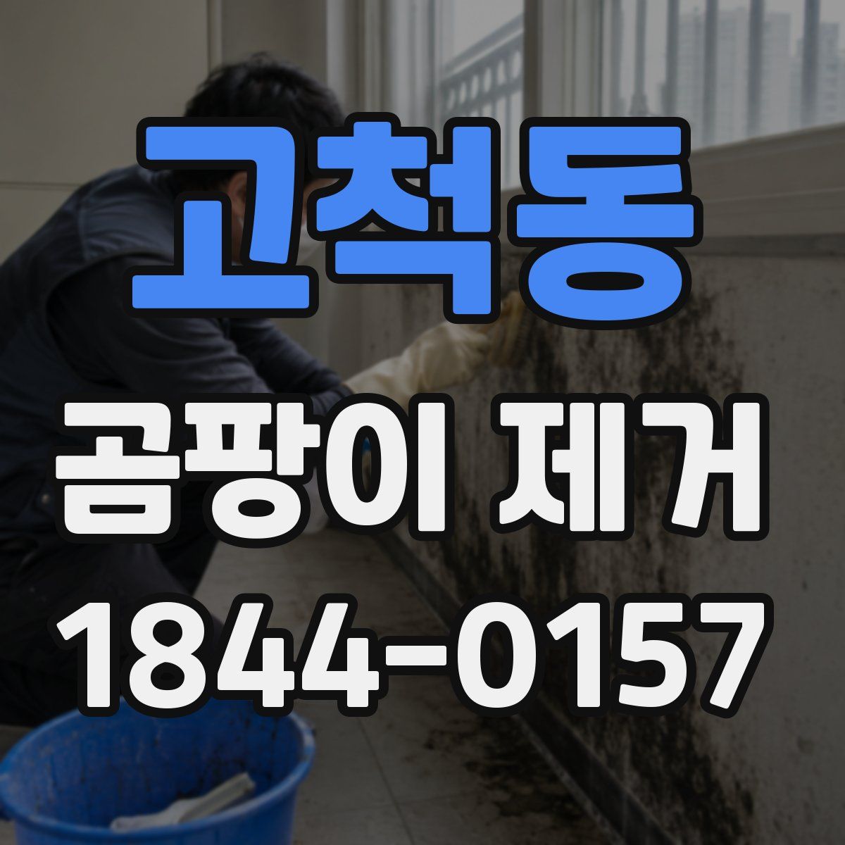 고척동 곰팡이 제거