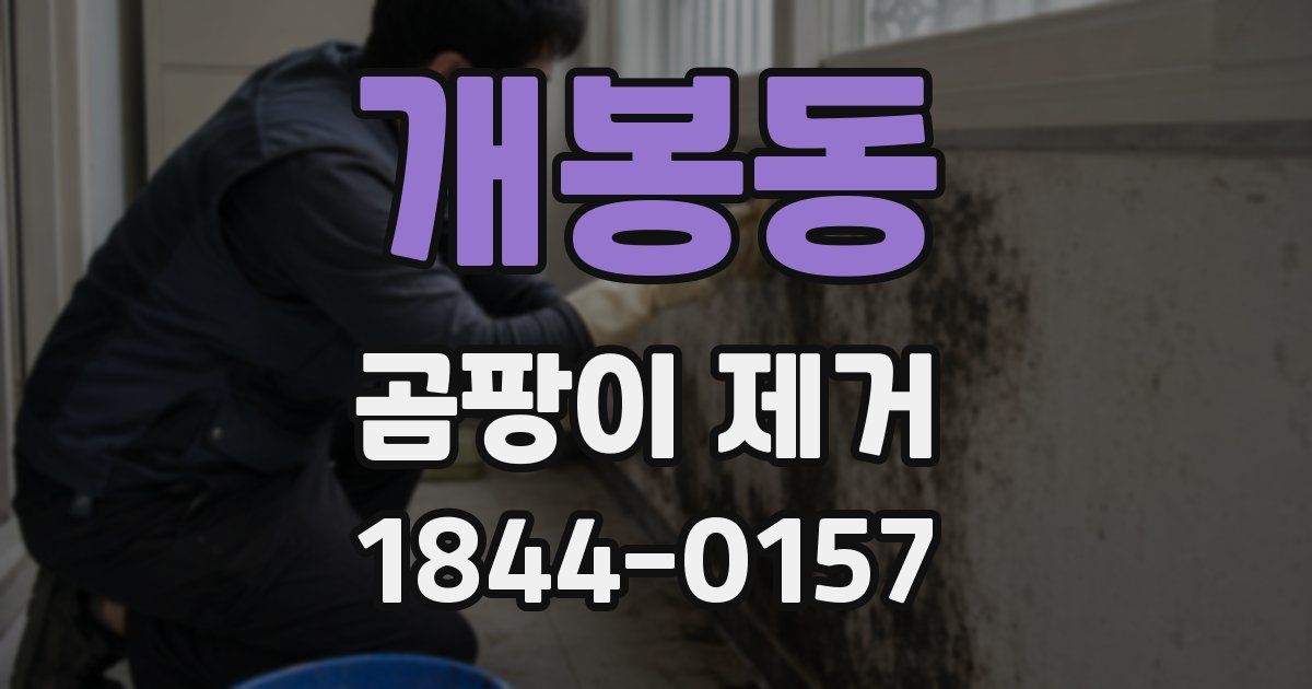 개봉동 곰팡이 제거