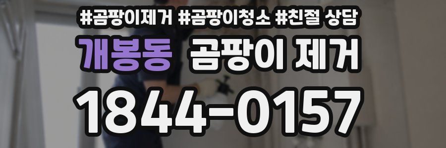 개봉동 곰팡이 제거