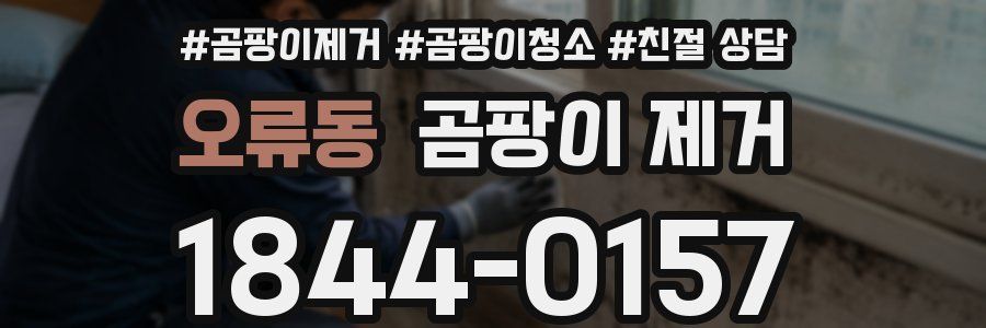 오류동 곰팡이 제거