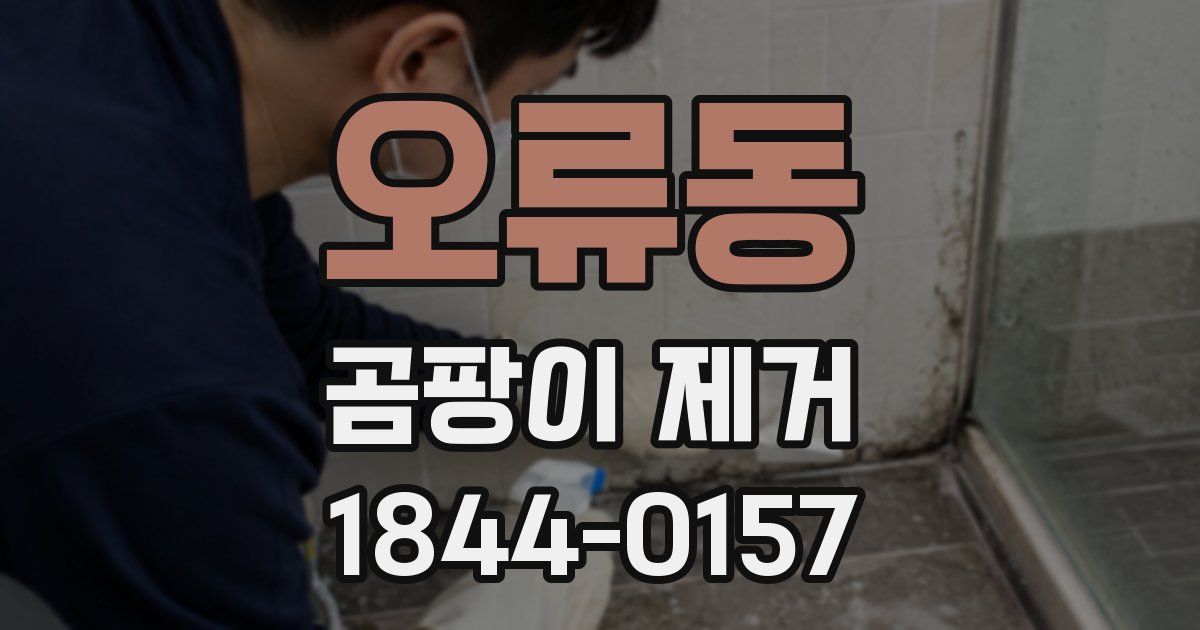 오류동 곰팡이 제거