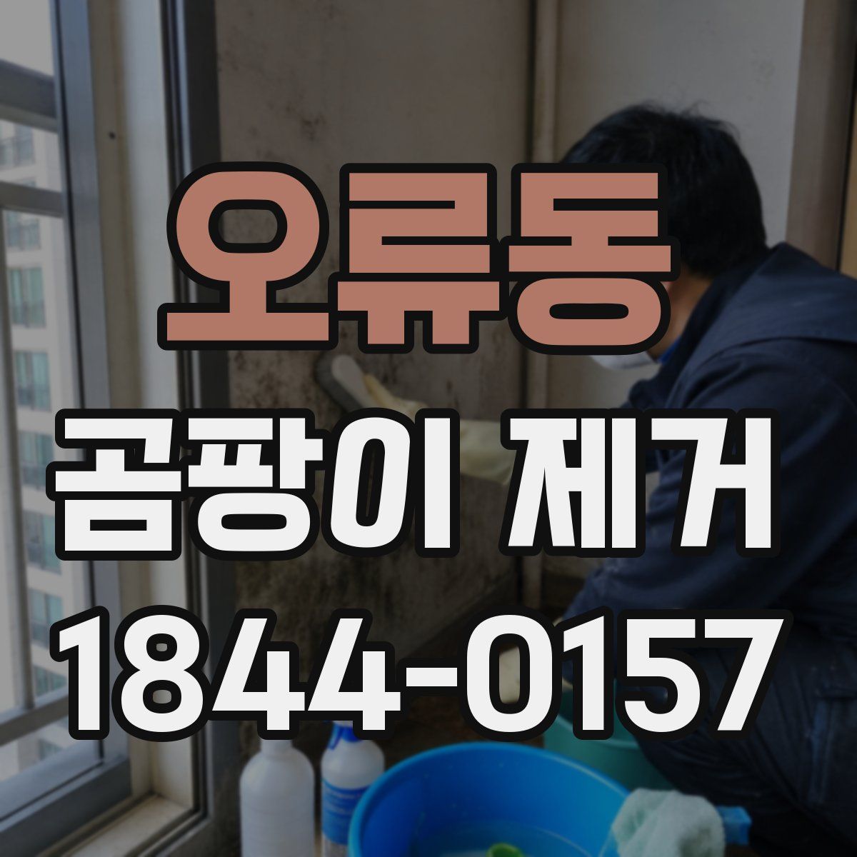 오류동 곰팡이 제거