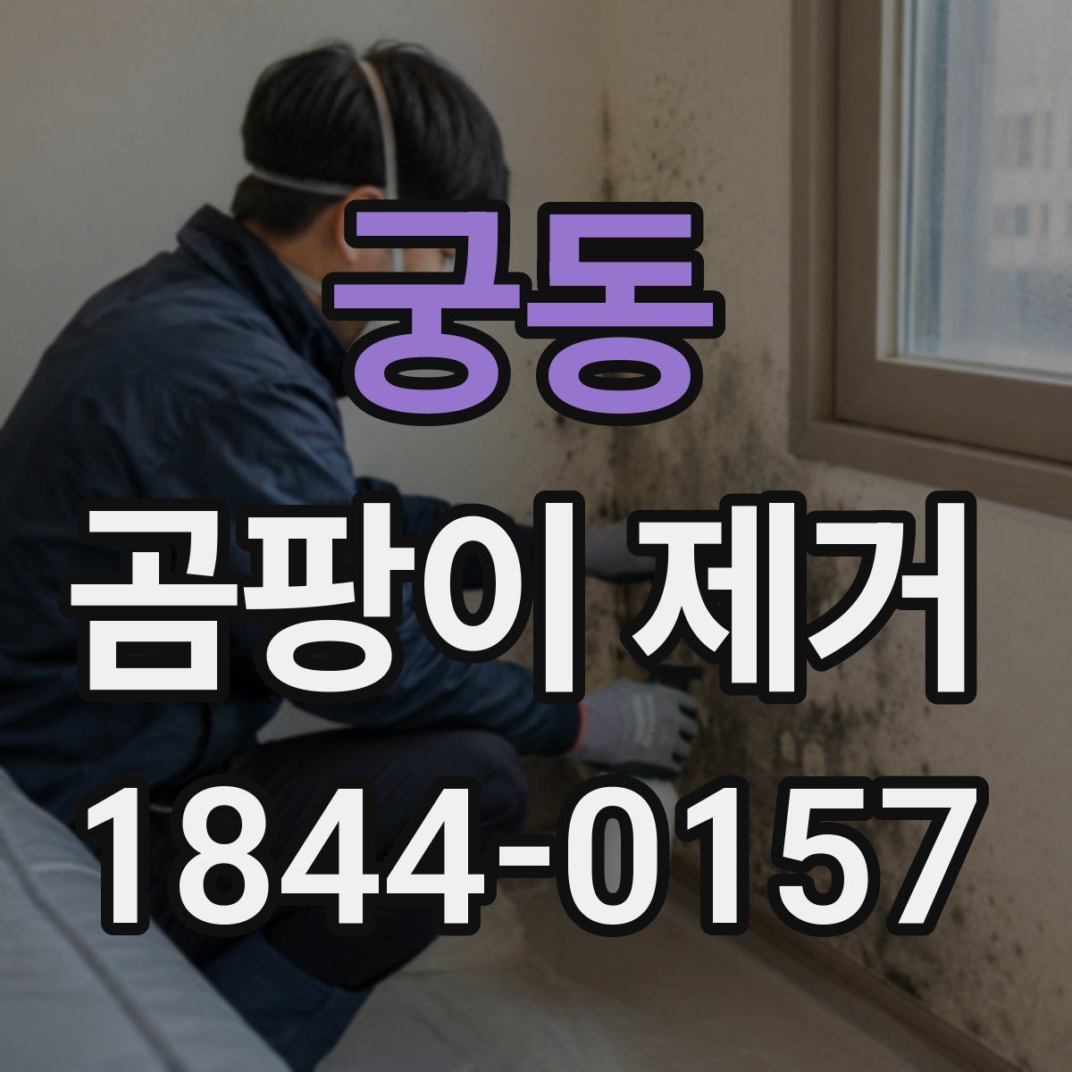 궁동 곰팡이 제거