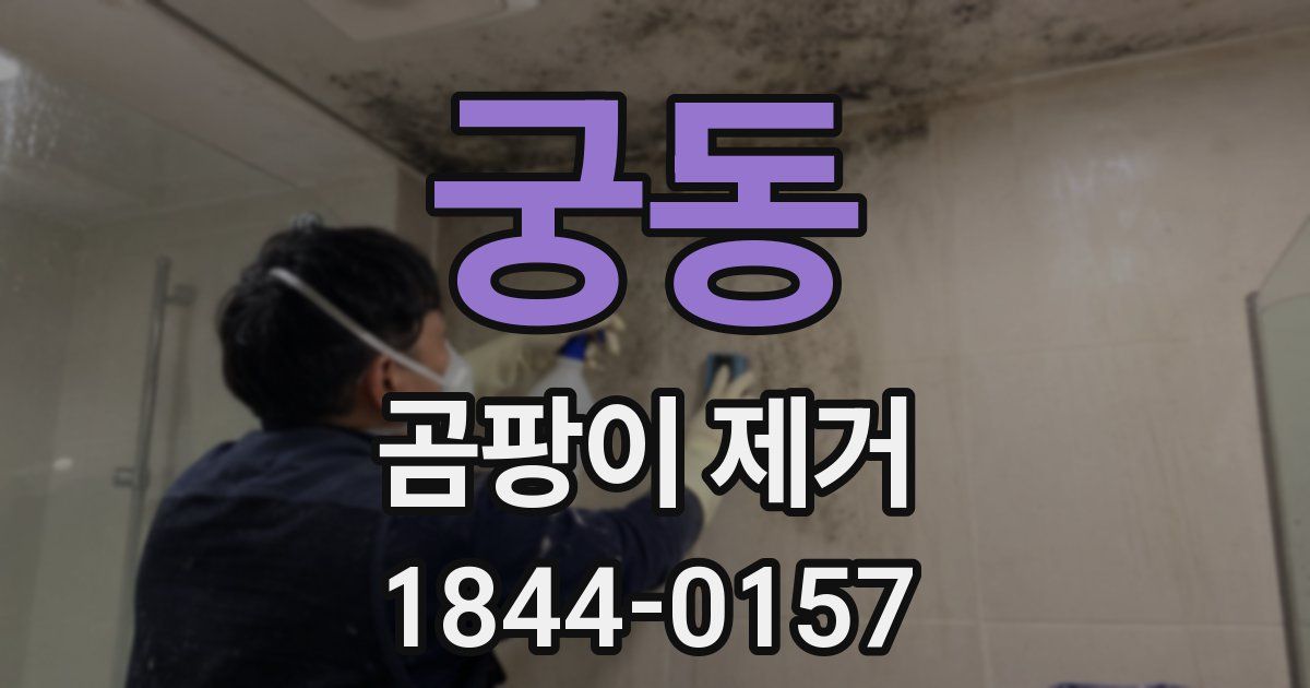 궁동 곰팡이 제거