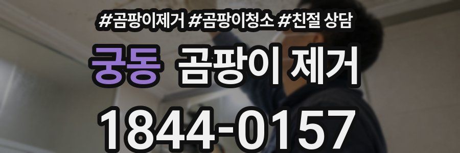 궁동 곰팡이 제거