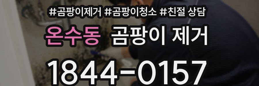 온수동 곰팡이 제거