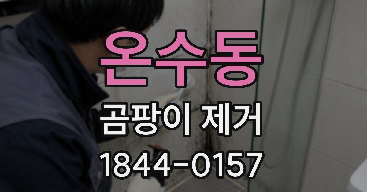 온수동 곰팡이 제거
