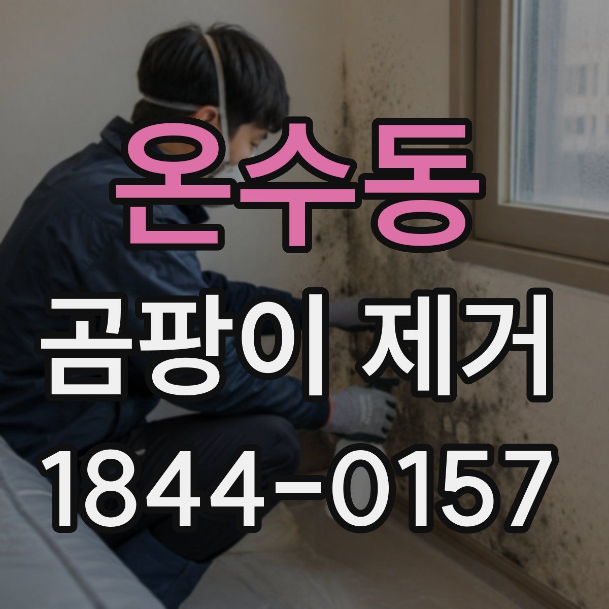 온수동 곰팡이 제거