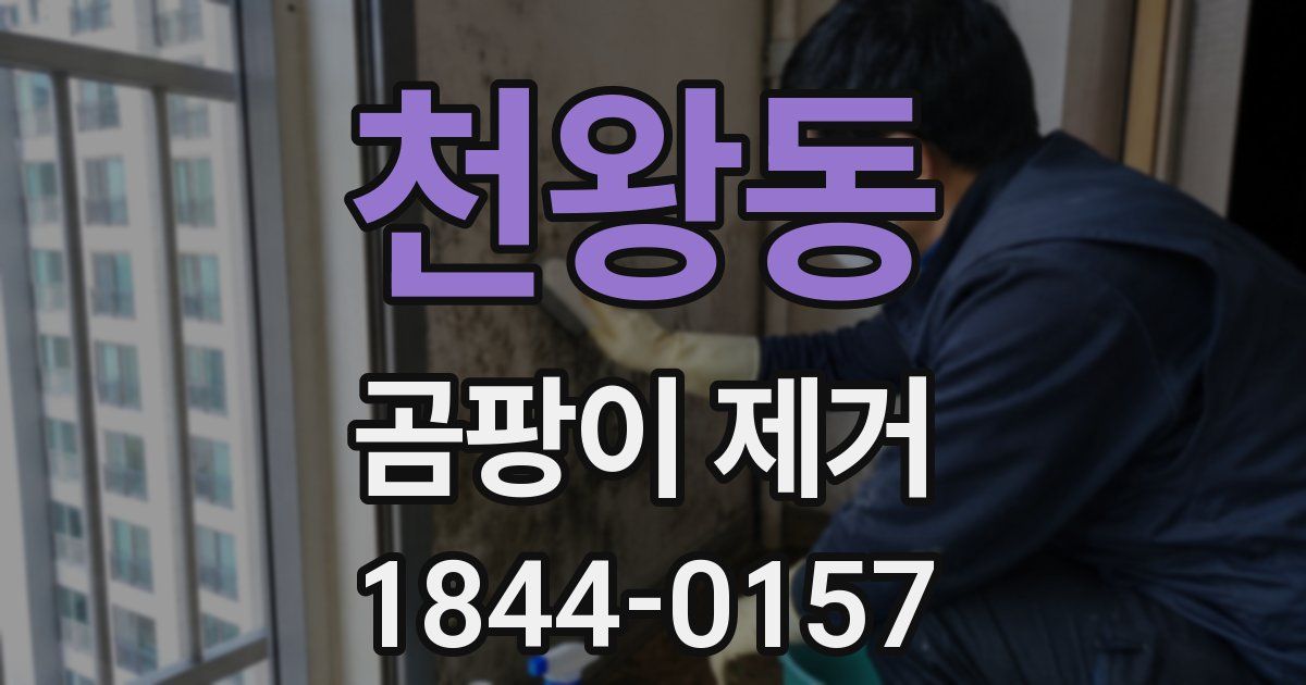 천왕동 곰팡이 제거