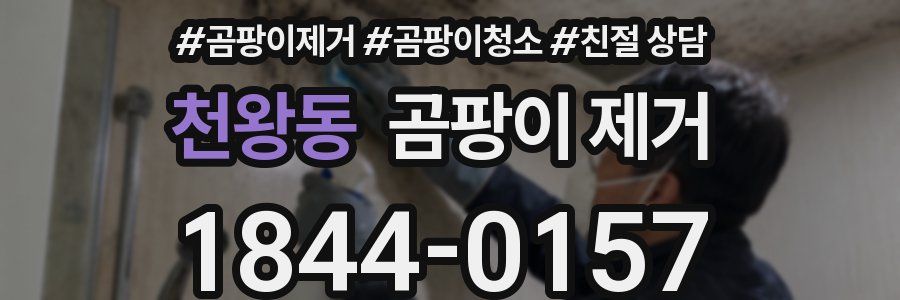 천왕동 곰팡이 제거