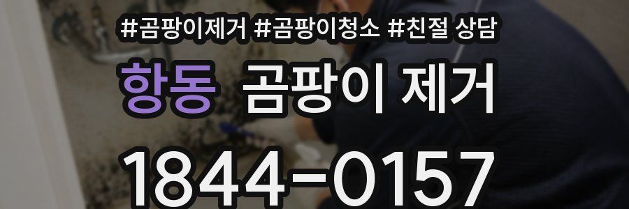 항동 곰팡이 제거