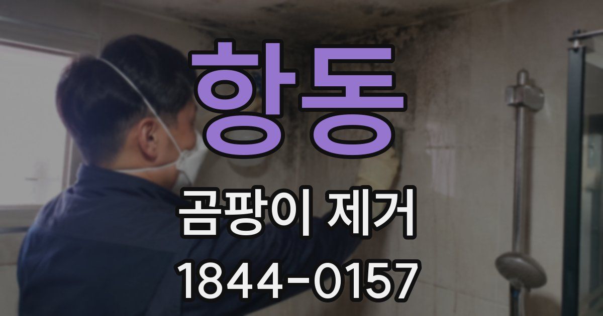 항동 곰팡이 제거