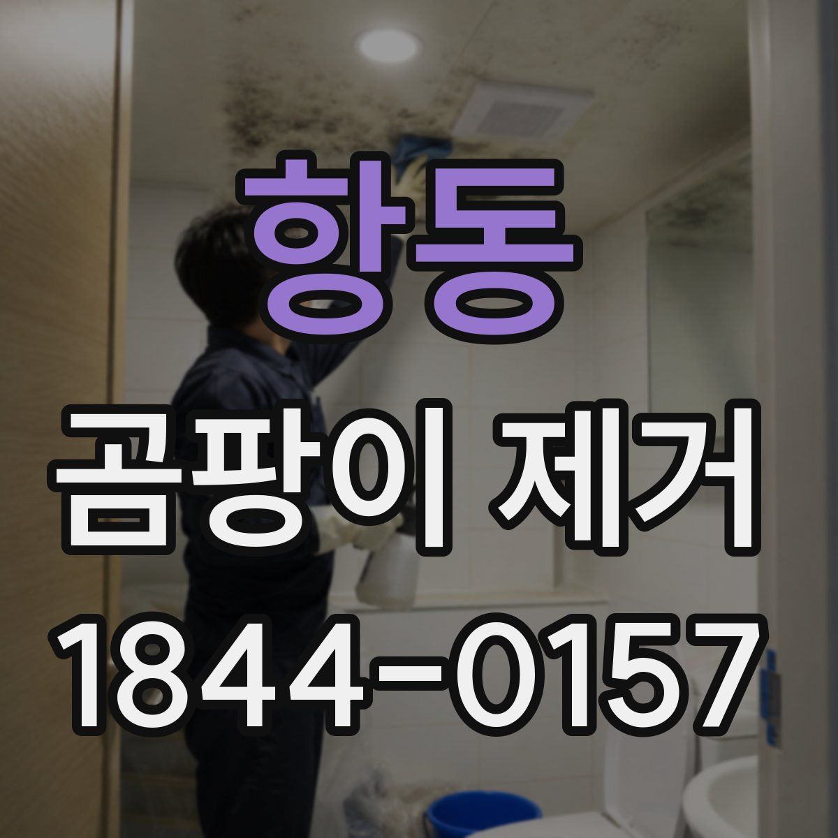 항동 곰팡이 제거