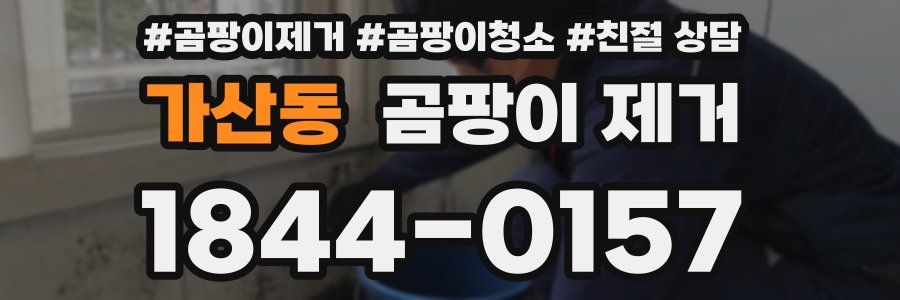 가산동 곰팡이 제거