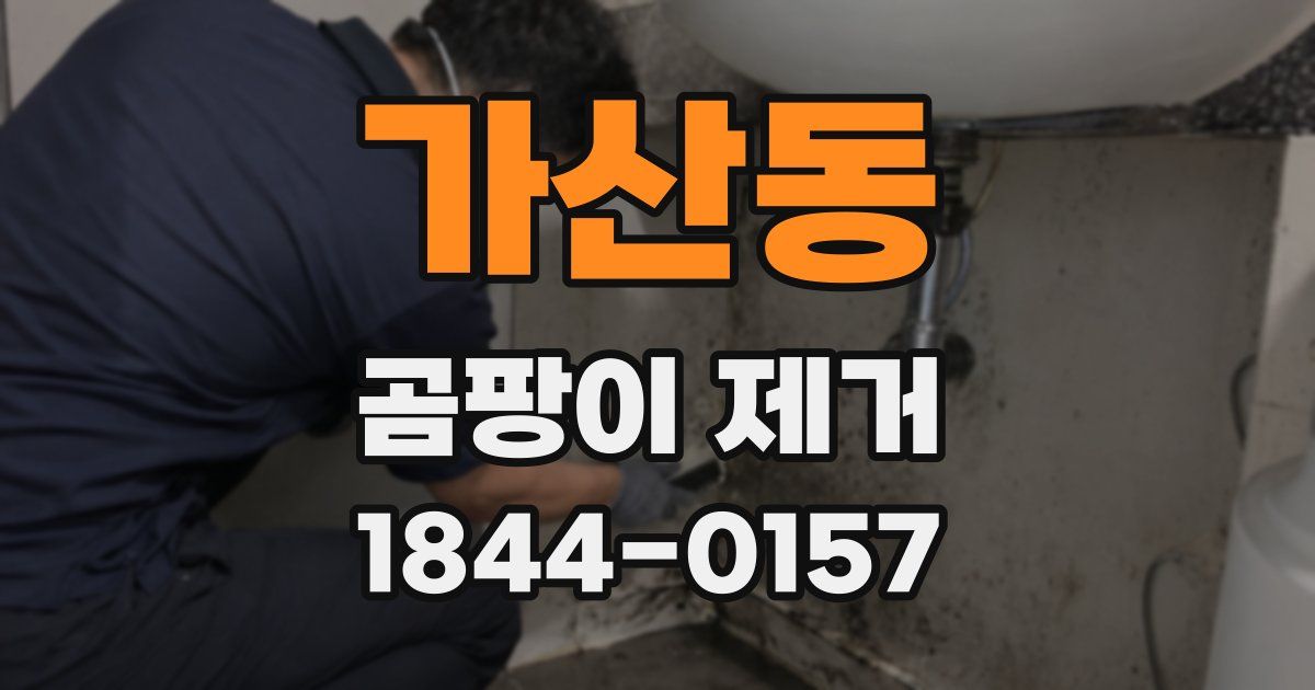 가산동 곰팡이 제거