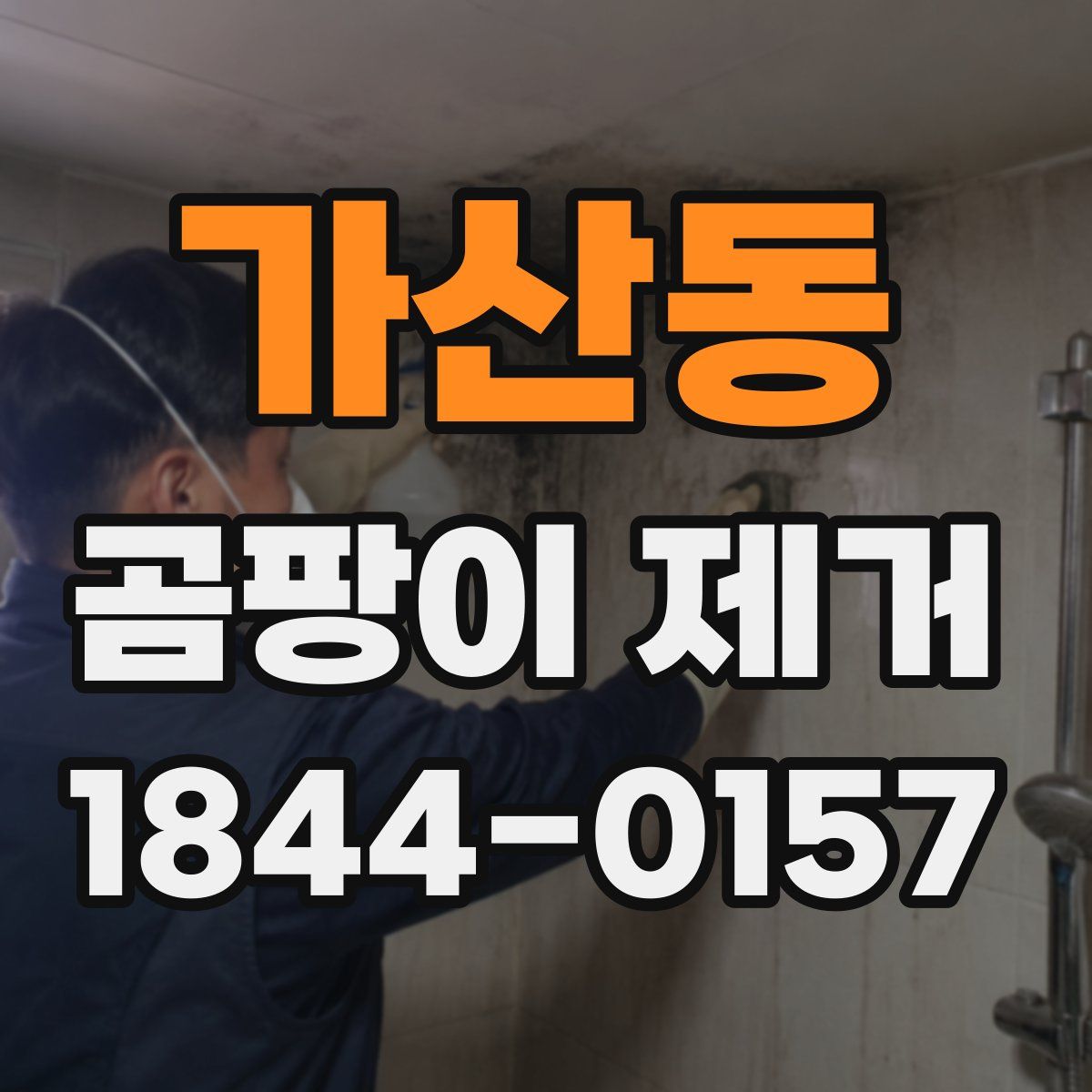 가산동 곰팡이 제거