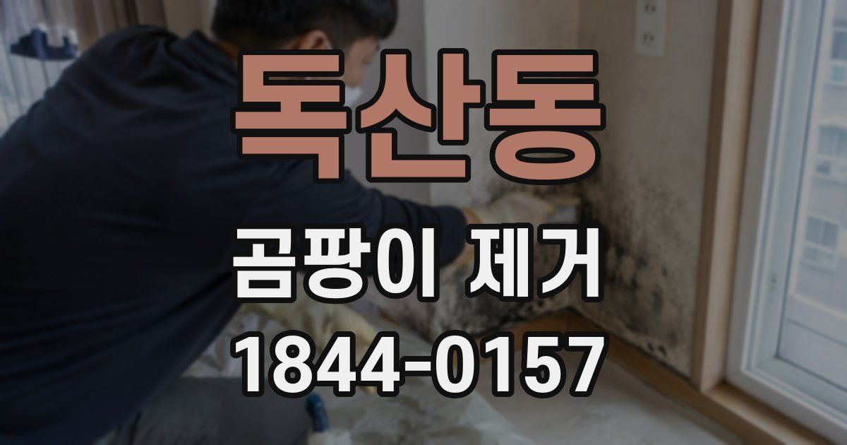 독산동 곰팡이 제거
