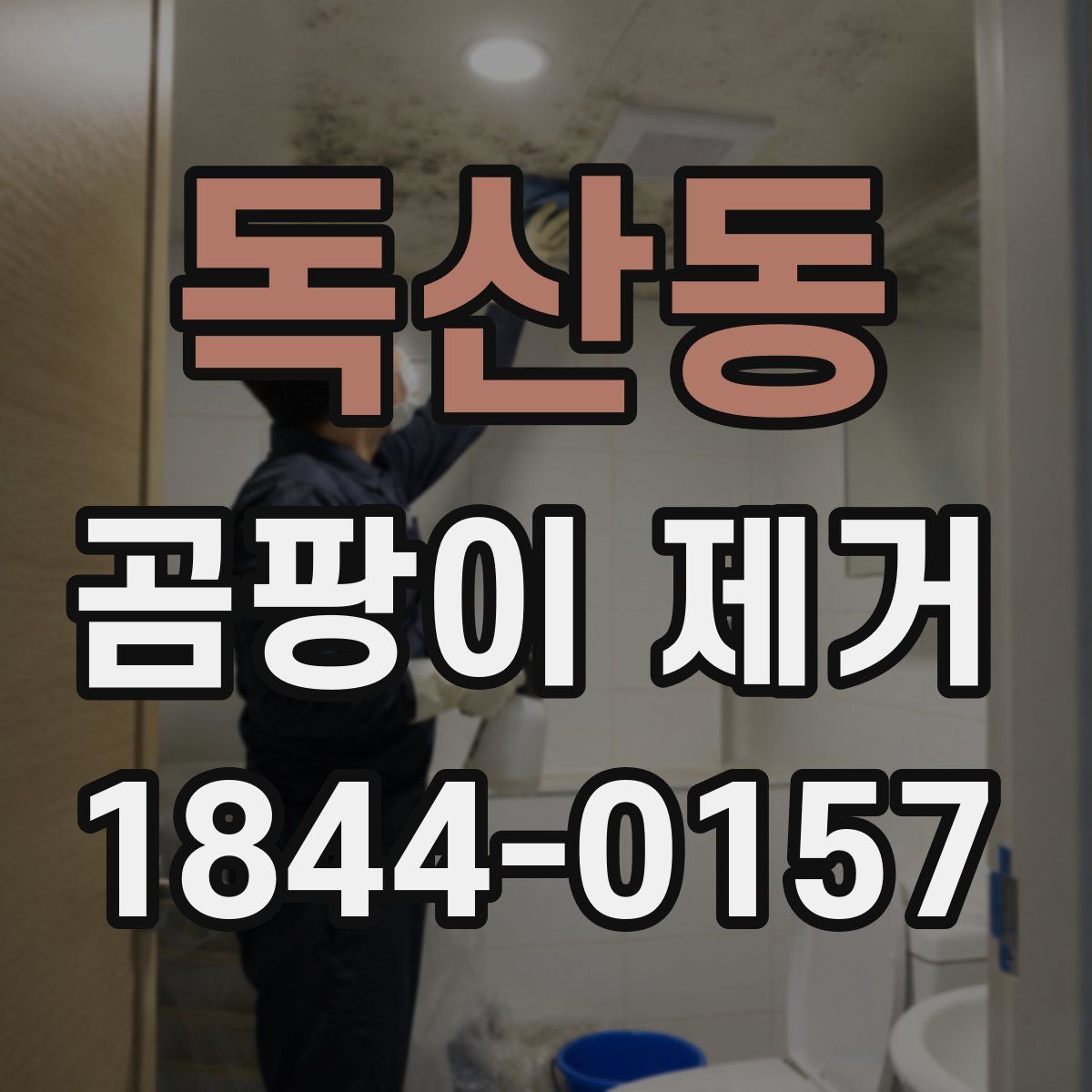 독산동 곰팡이 제거