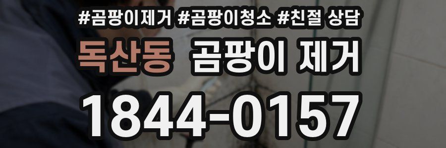 독산동 곰팡이 제거