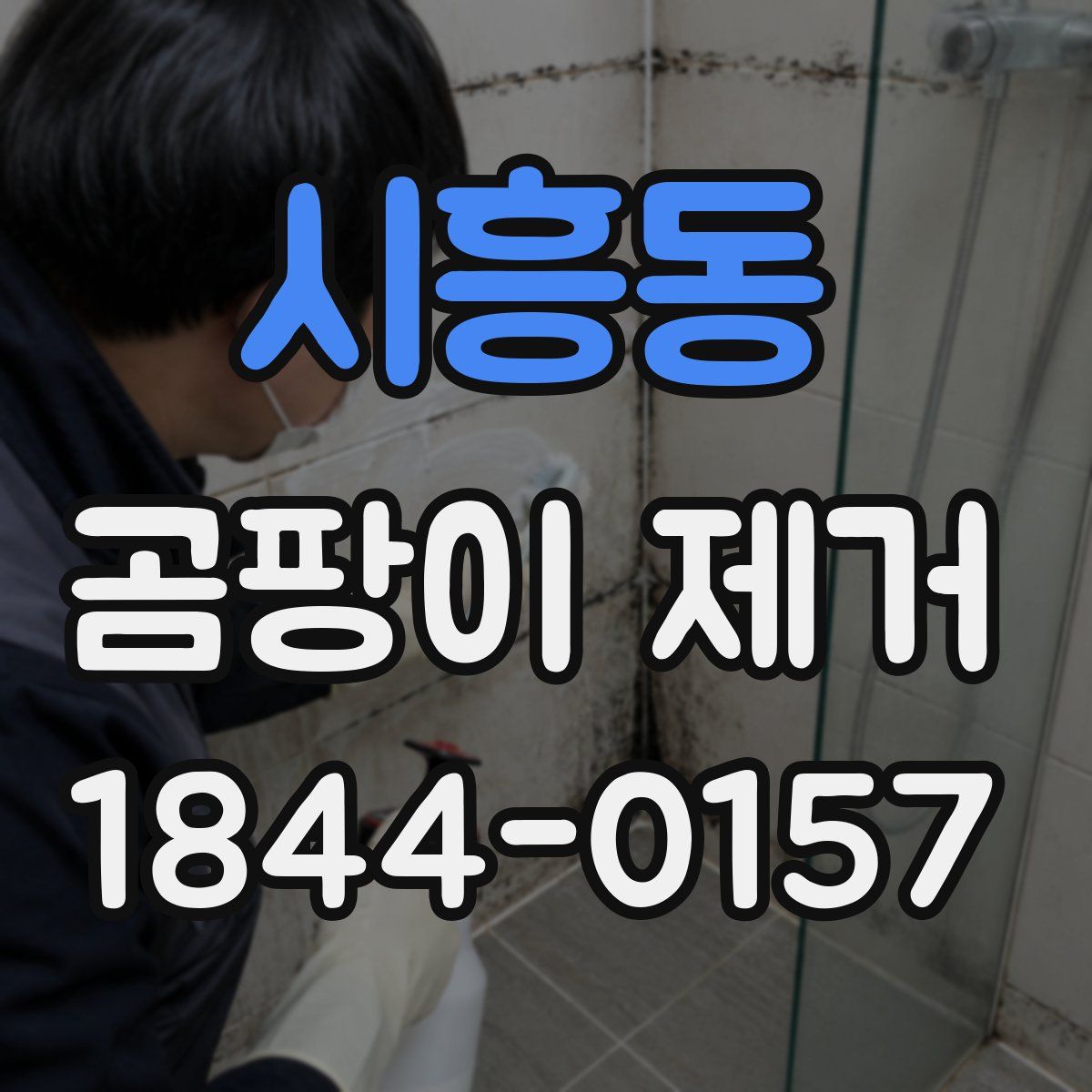 시흥동 곰팡이 제거