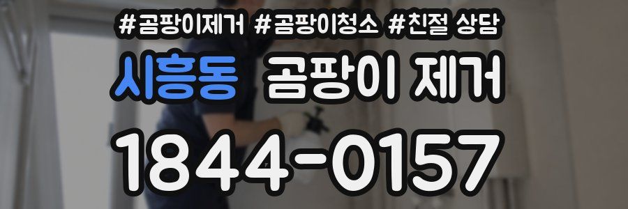 시흥동 곰팡이 제거