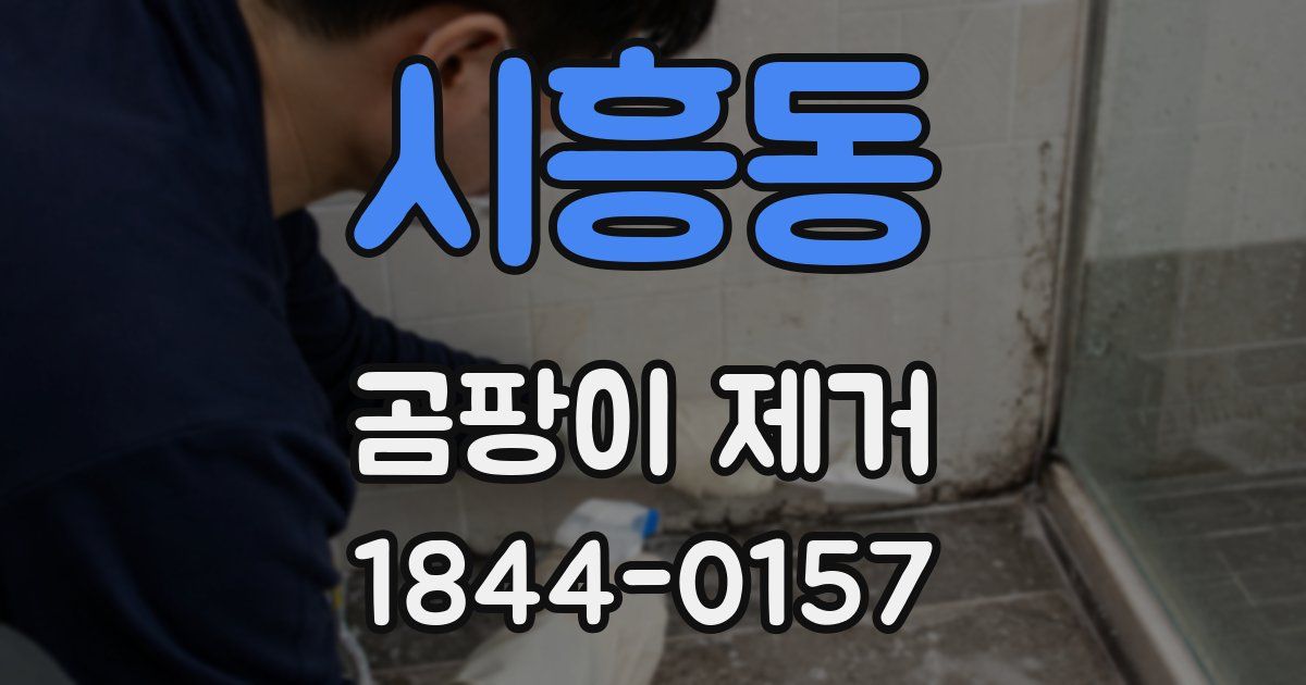 시흥동 곰팡이 제거