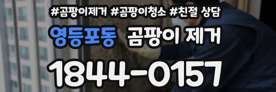 영등포동 곰팡이 제거