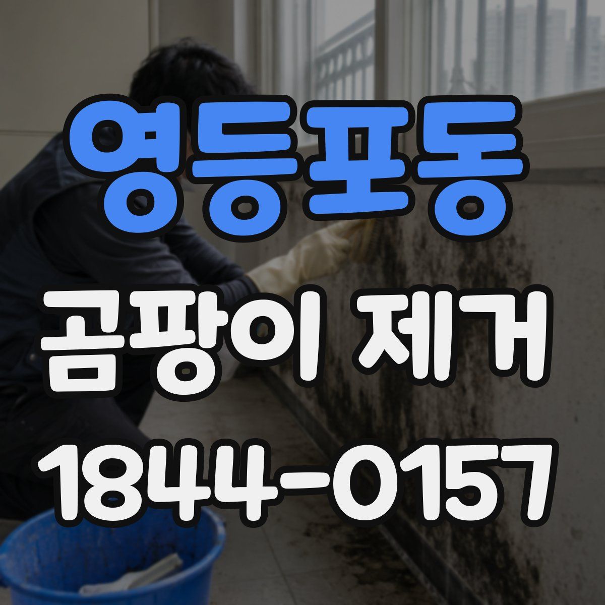 영등포동 곰팡이 제거