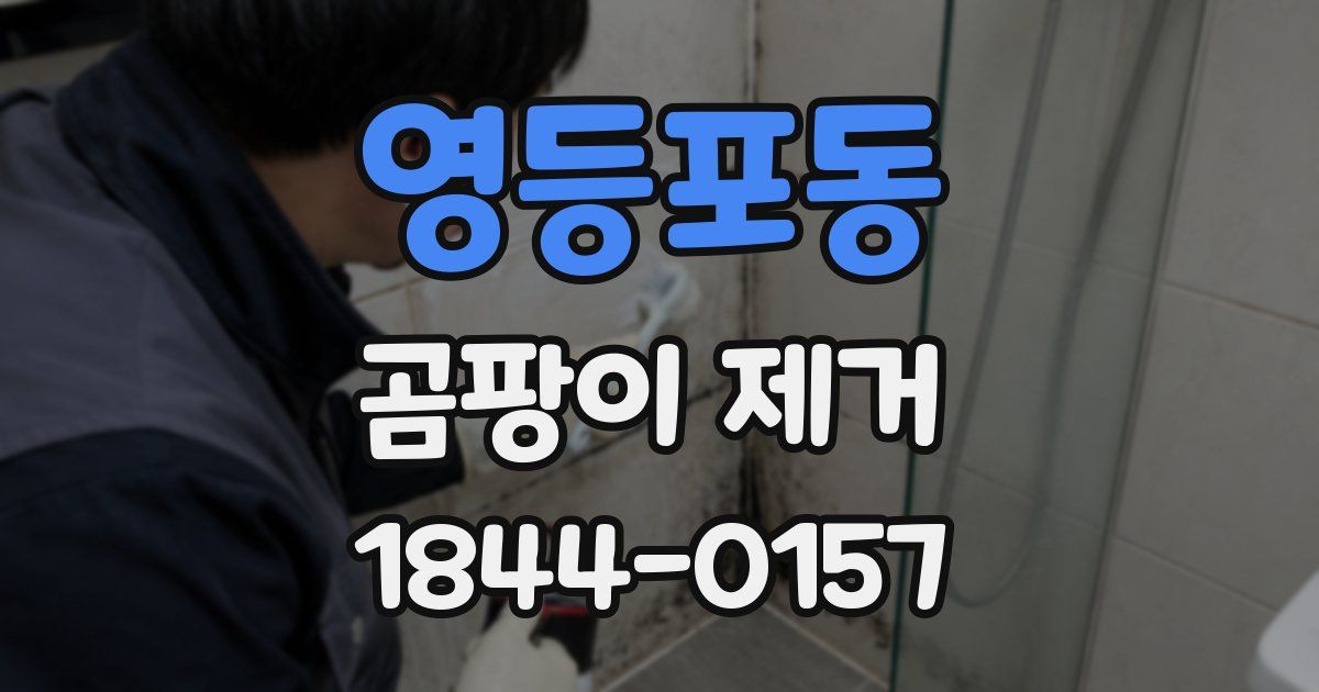영등포동 곰팡이 제거