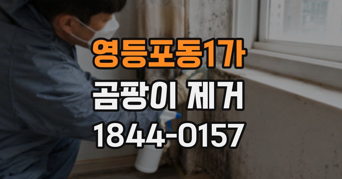 영등포동1가 곰팡이 제거