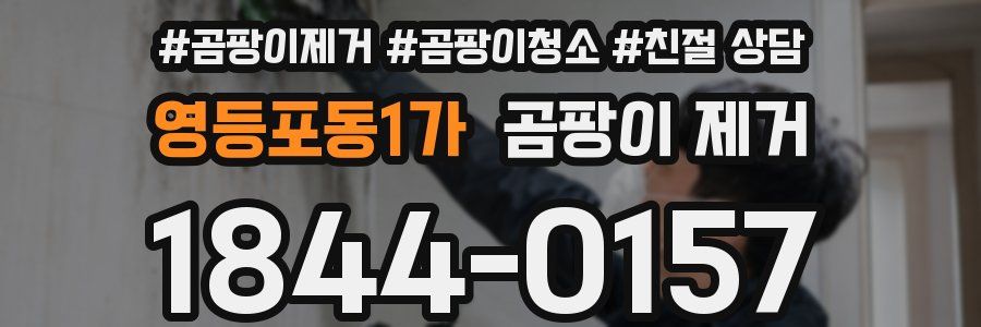 영등포동1가 곰팡이 제거