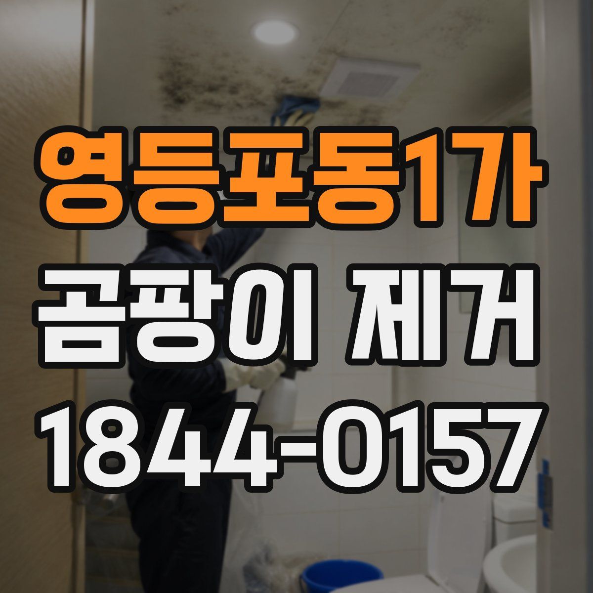 영등포동1가 곰팡이 제거