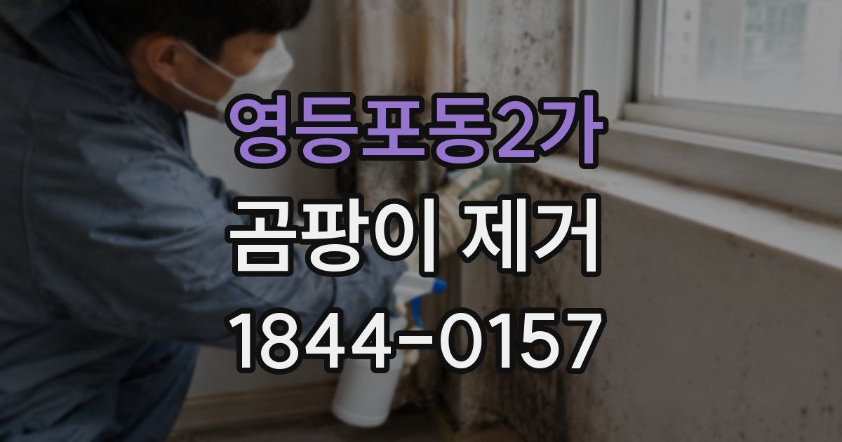 영등포동2가 곰팡이 제거