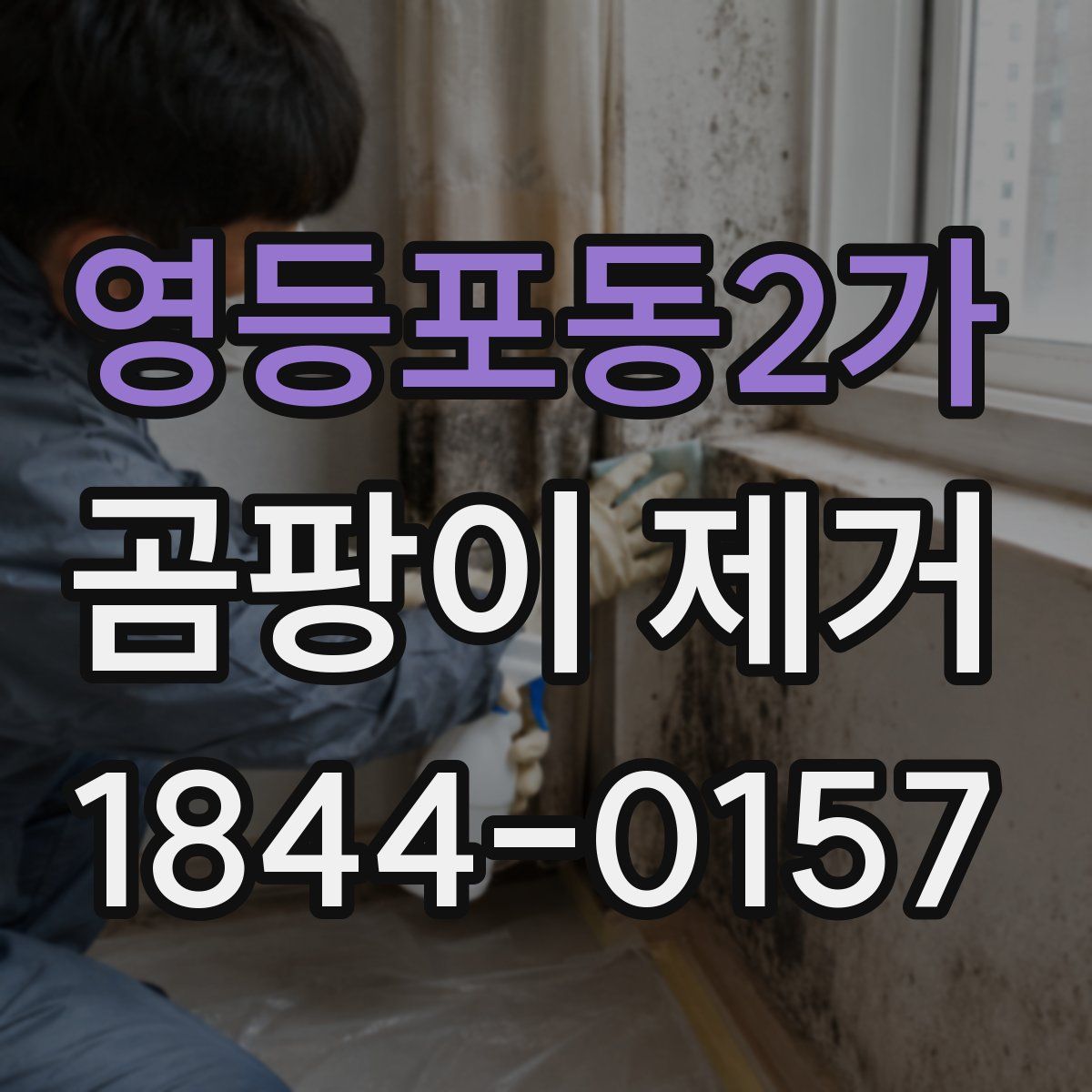 영등포동2가 곰팡이 제거