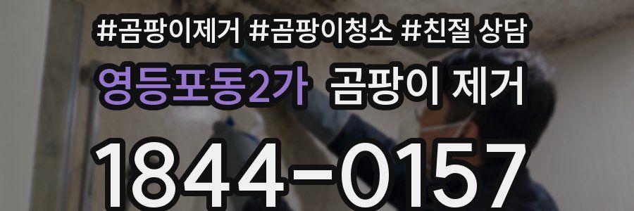영등포동2가 곰팡이 제거
