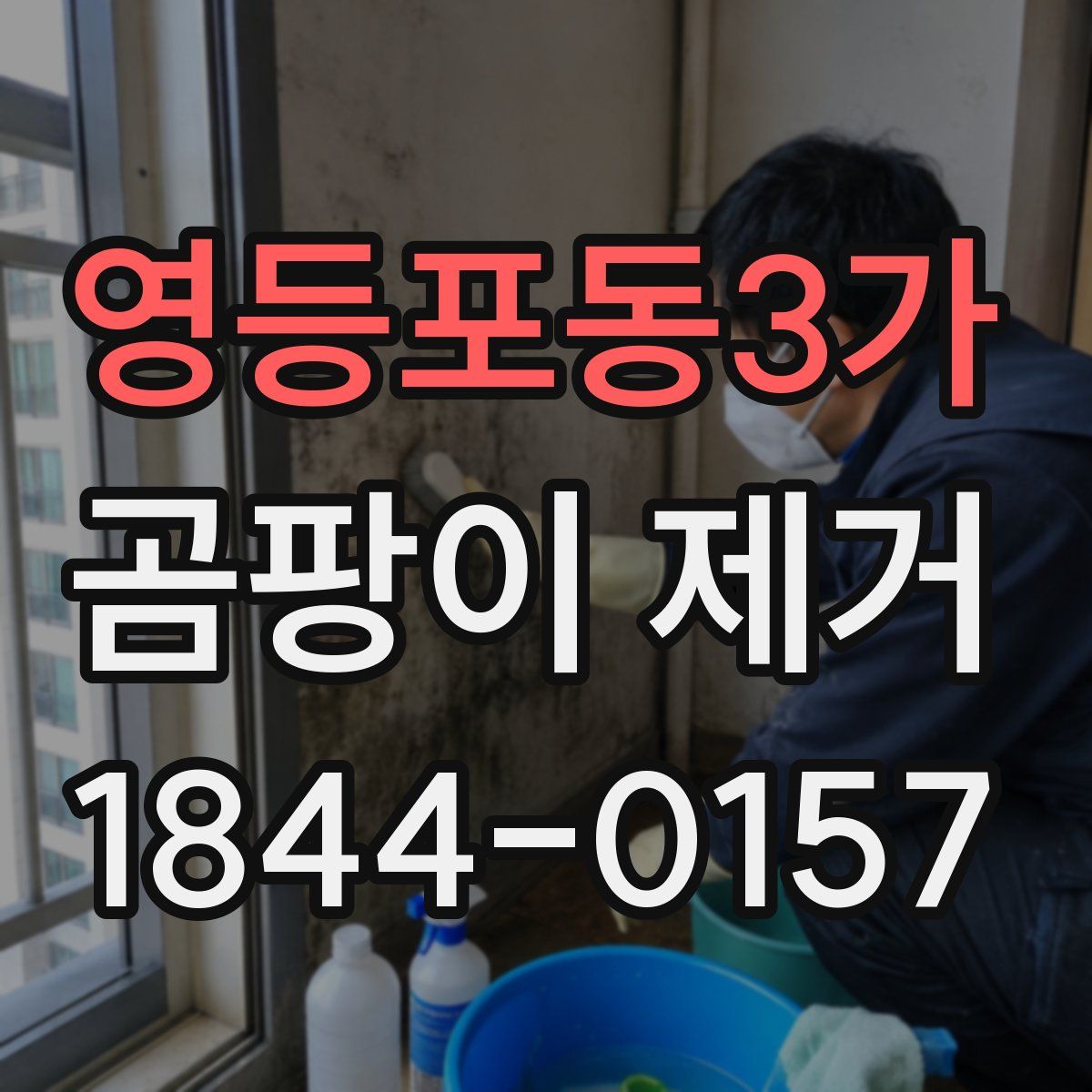 영등포동3가 곰팡이 제거