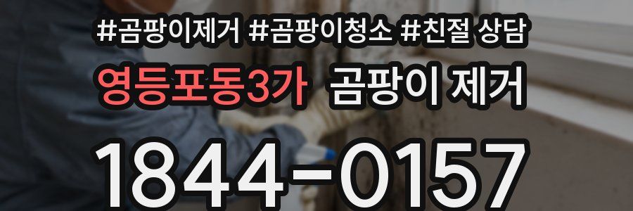 영등포동3가 곰팡이 제거