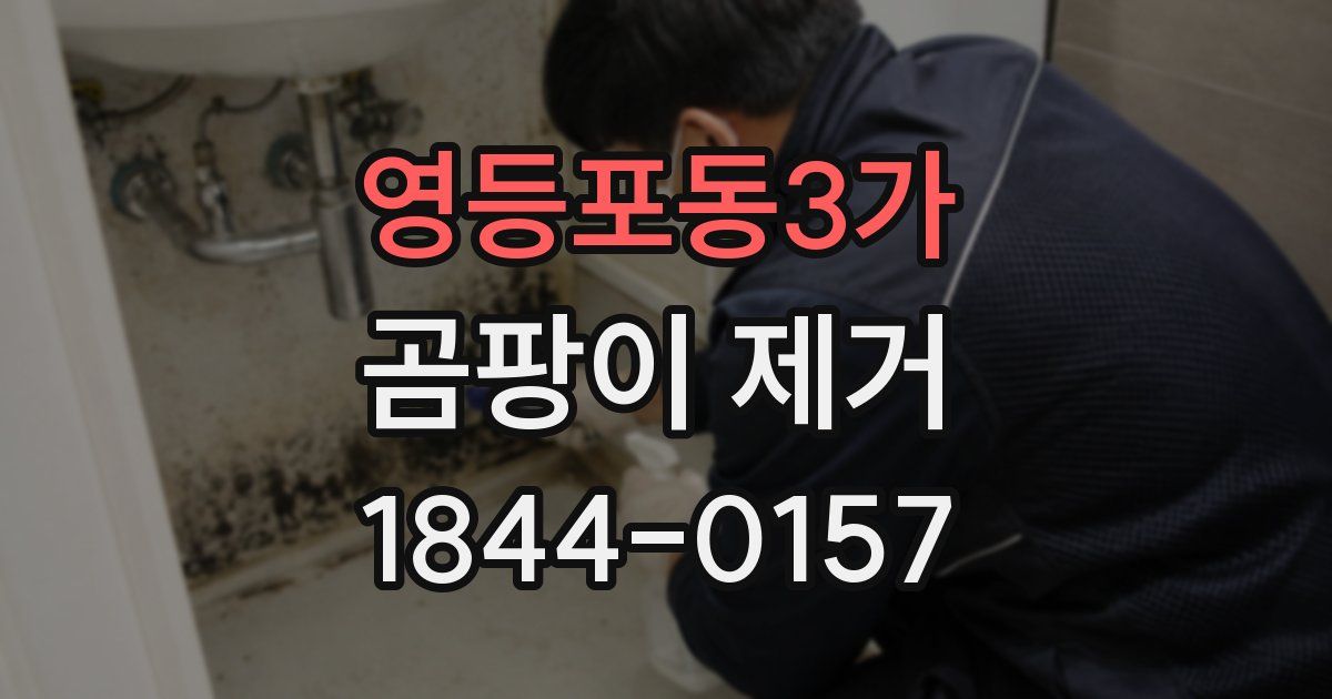 영등포동3가 곰팡이 제거
