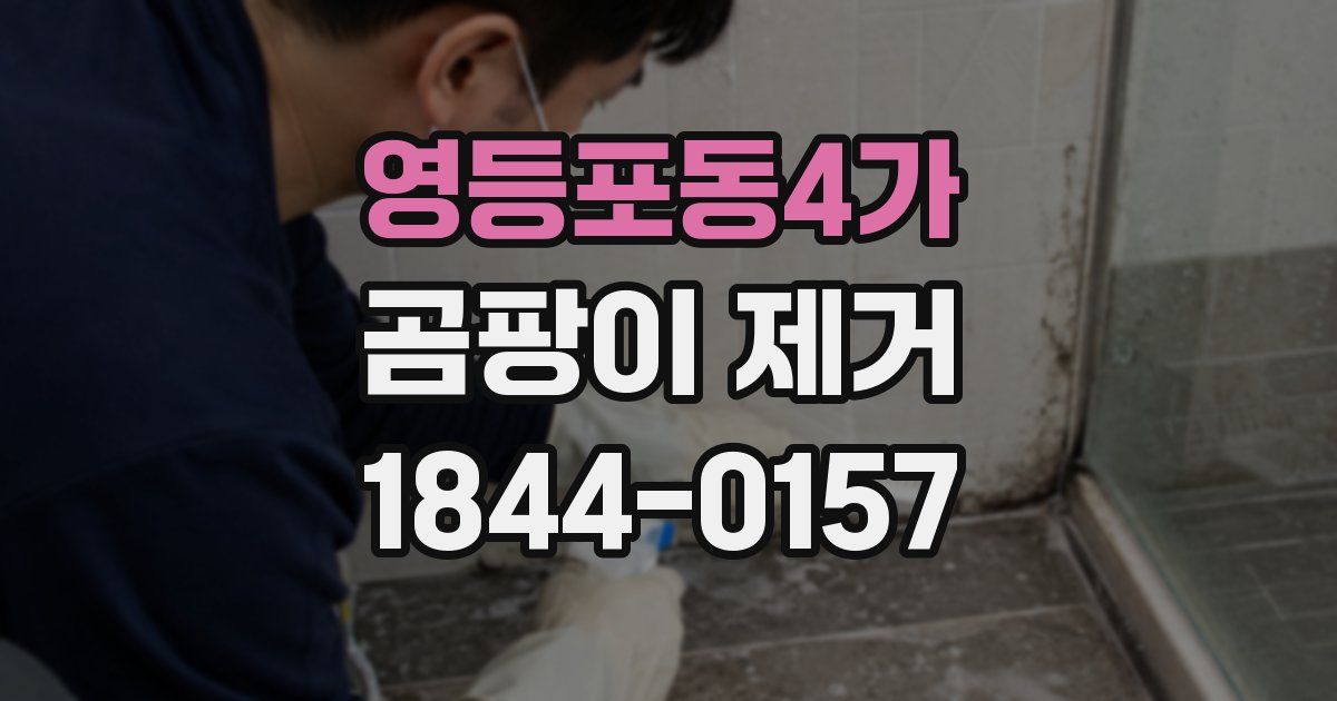 영등포동4가 곰팡이 제거