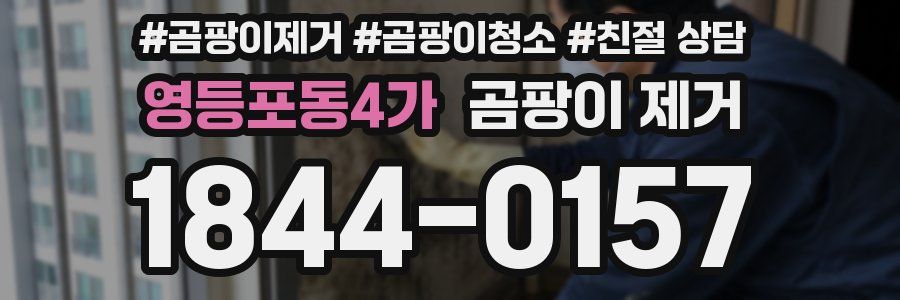 영등포동4가 곰팡이 제거