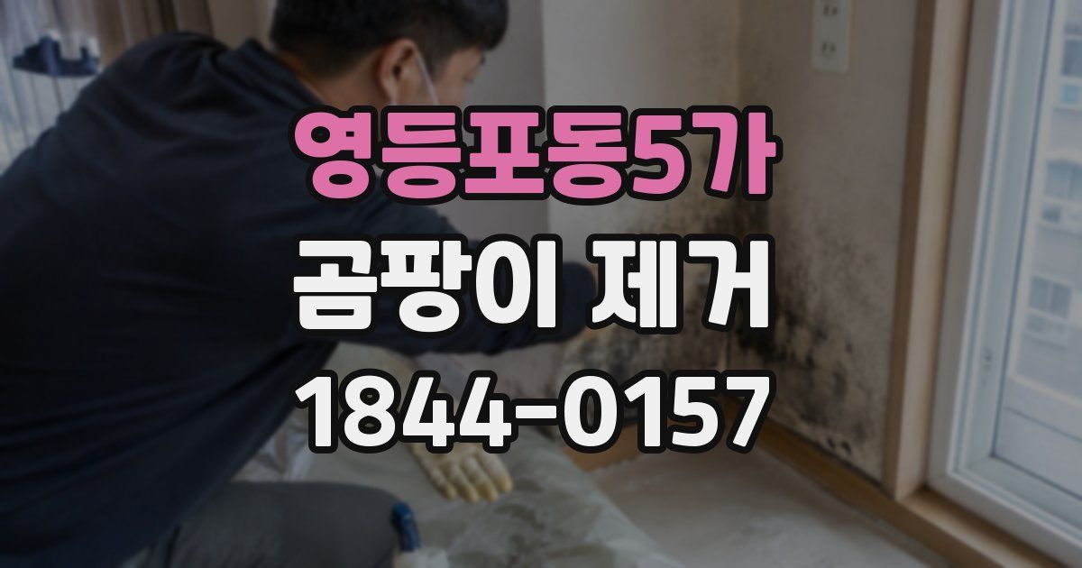 영등포동5가 곰팡이 제거