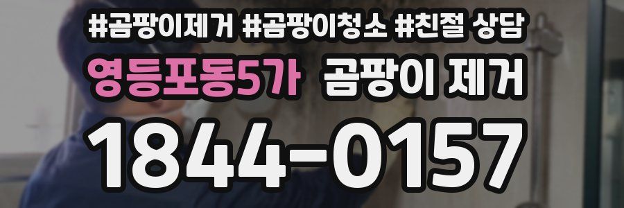 영등포동5가 곰팡이 제거