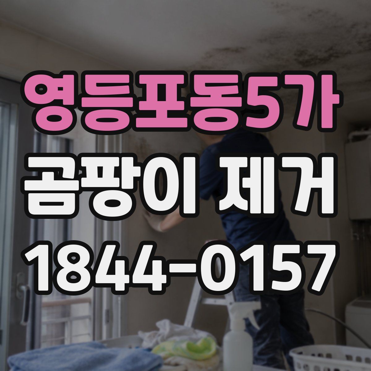 영등포동5가 곰팡이 제거