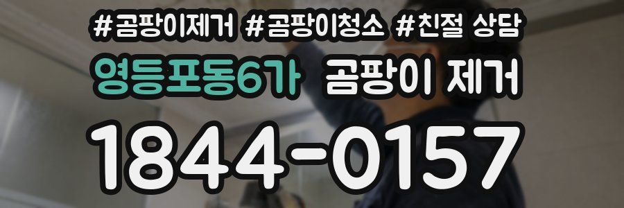 영등포동6가 곰팡이 제거