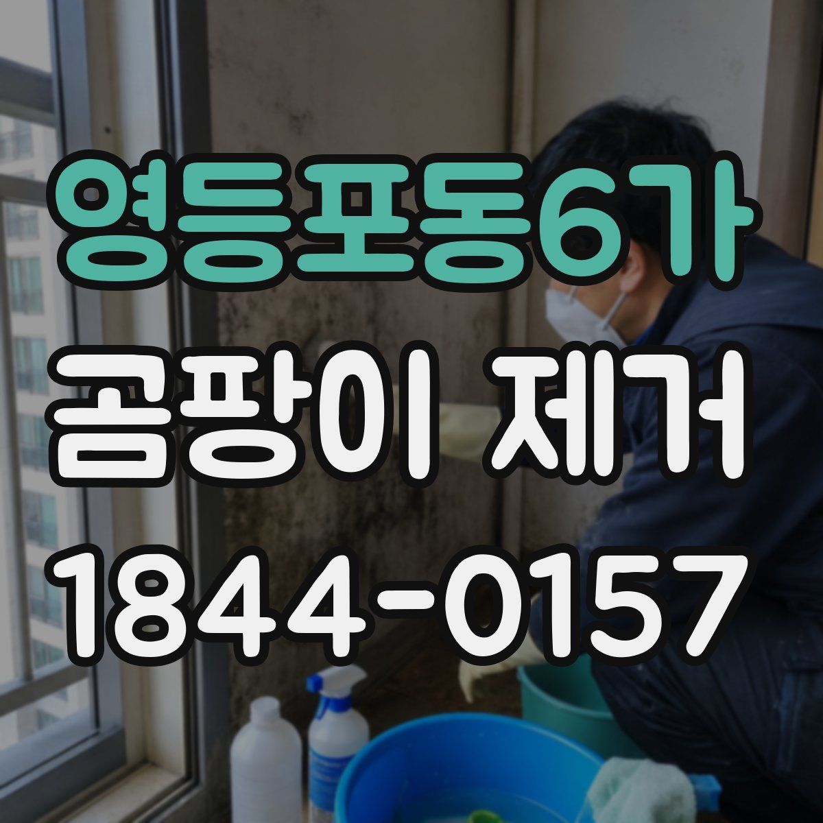 영등포동6가 곰팡이 제거