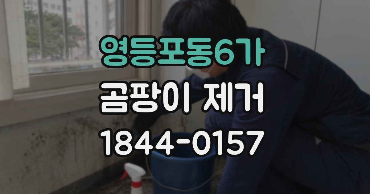 영등포동6가 곰팡이 제거